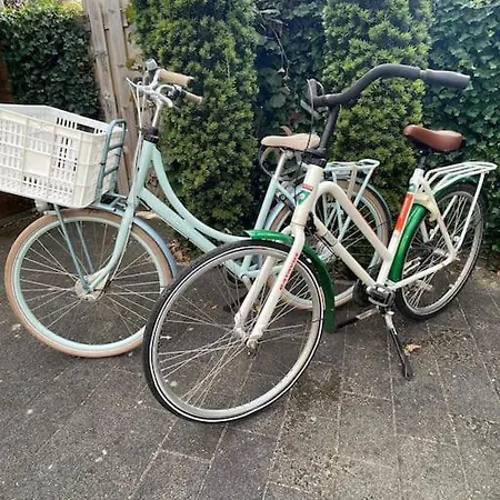 Tiny House Met Tuin En 2 Fietsen In Op De Veluwe בקתה