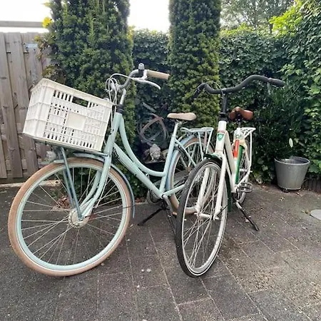 Tiny House Met Tuin En 2 Fietsen In Op De Veluwe * Пюттен