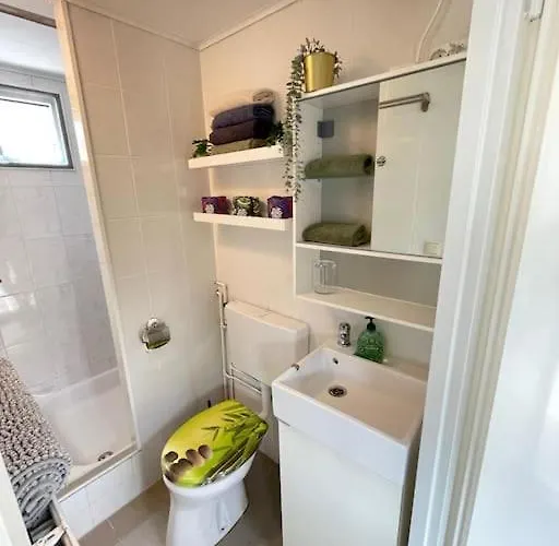 Tiny House Met Tuin En 2 Fietsen In Op De Veluwe Putten