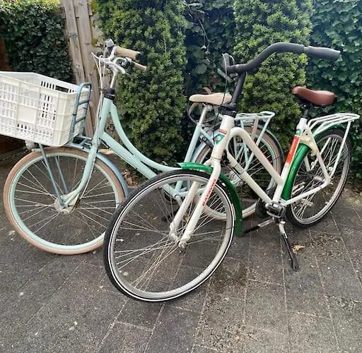 Tiny House Met Tuin En 2 Fietsen In Op De Veluwe Alpehytte