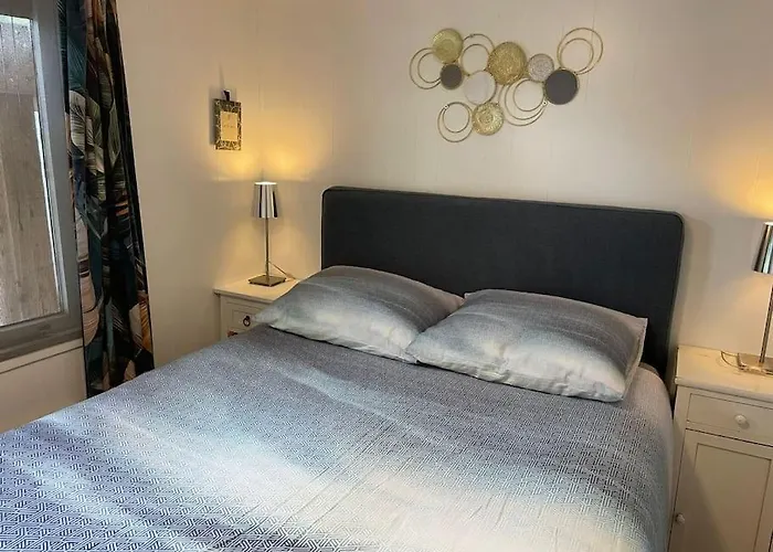 Tiny House Met Tuin En 2 Fietsen In Op De Veluwe Alpehytte