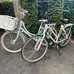 Tiny House Met Tuin En 2 Fietsen In Op De Veluwe シャレー