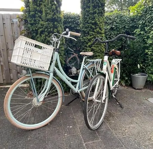 Tiny House Met Tuin En 2 Fietsen In Op De Veluwe * Putten