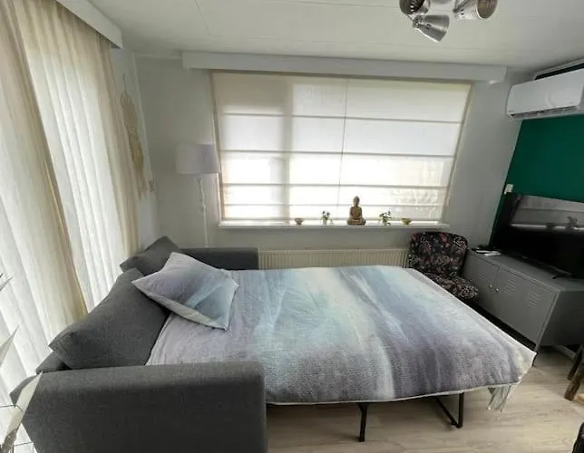 Tiny House Met Tuin En 2 Fietsen In Op De Veluwe