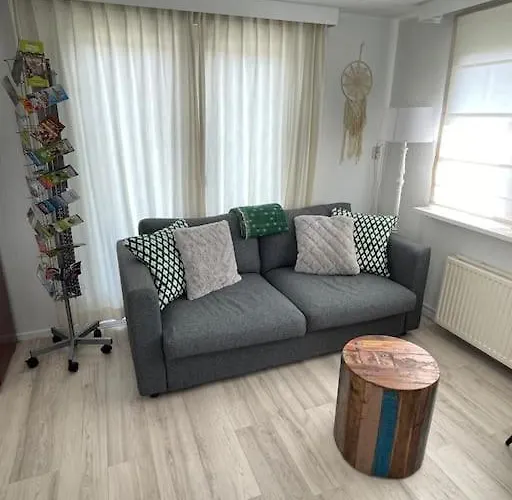 Tiny House Met Tuin En 2 Fietsen In Op De Veluwe Alpstuga Putten